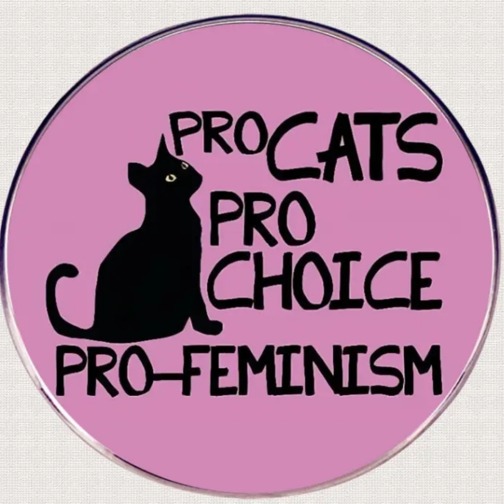 Feminist cat lady pin♡